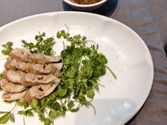 -阿五黄河大鲤鱼(河南长垣店)