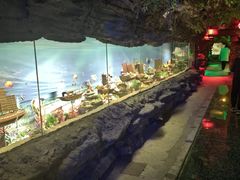 -康百万庄园