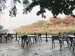 -万绿园