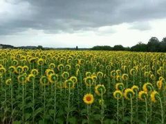 -毓聪妈妈菜(合肥路店)