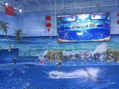 -多彩贵州城极地海洋世界