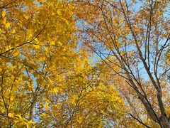 -长春世界雕塑园冰雪艺术天地