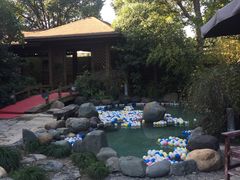 -张家港金凤凰度假村温泉