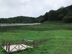 -大水川景区