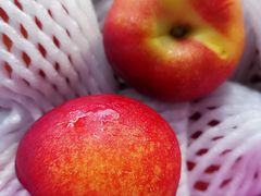 -上海龙吴水胜海发市场