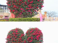 -东莞植物园