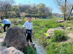 -羊山湖公园