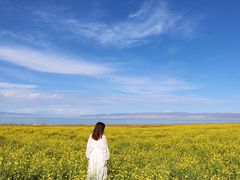 -青海湖国家重点风景名胜区