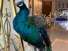 -西双版纳融创皇冠假日度假酒店