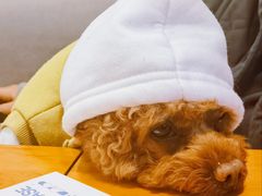 -小意思咖啡店(草桥店)