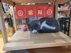 -小尾巴宠物店(万科·金域华庭店)