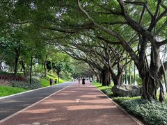 -南宁南湖公园