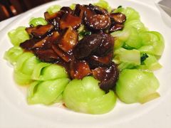 青菜香菇-乾隆美食·本帮菜(黄河路店)