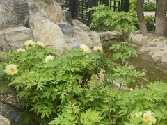 -太阳宫公园