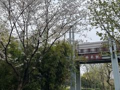 -宝界山林公园