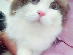-宠颐生宠物医院·骨外科·犬猫全科诊疗中心(池州店)