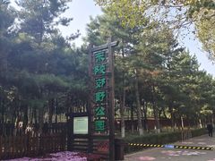 -沈阳市东陵公园