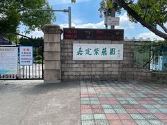 -嘉定紫藤园