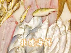 -北塘海鲜·天津菜(大光明桥旗舰店)