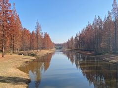 -黄海国家森林公园