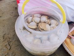-启东黄金海滩景区