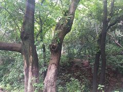 -宝岩生态观光园