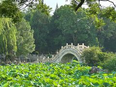 -莲池书院博物馆