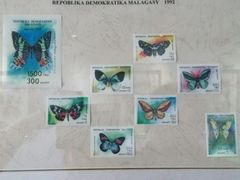 -上海昆虫博物馆