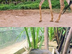 -云南野生动物园