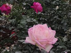 -人民公园(罗湖区)