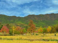-塔川景区