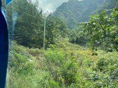 -华山风景名胜区