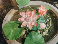 -温德姆花园酒店-鼎丰阁中餐厅
