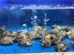 水产区-香山湖渔家大院