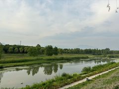 -洨河生态公园