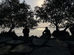 -宝安西湾红树林湿地公园