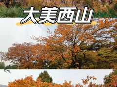 -北京西山国家森林公园