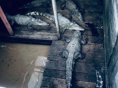 -洞里萨湖