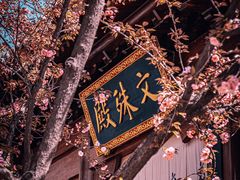 -西安大兴善寺