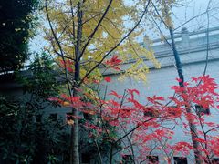 -阅江楼风景区