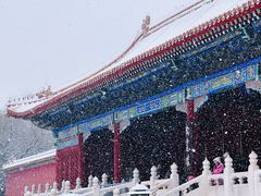 -故宫博物院(故宫)