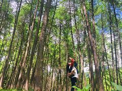 -硗碛藏寨·神木垒景区