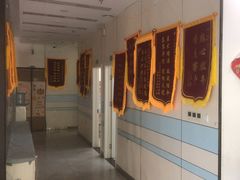-中农国际动物医院24小时·猫科·骨科·急重症中心