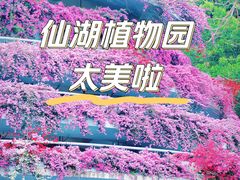 -深圳市中科院仙湖植物园