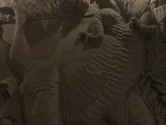 -中国西峡恐龙遗迹园