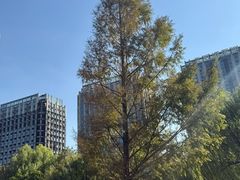 -南翔镇银翔湖公园