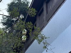 -刘伯温故里景区百丈漈