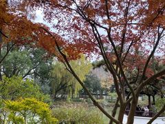 -上海醉白池公园