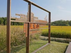 -良渚古城遗址公园