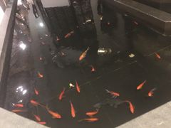 -品粹徽园·家常安徽菜